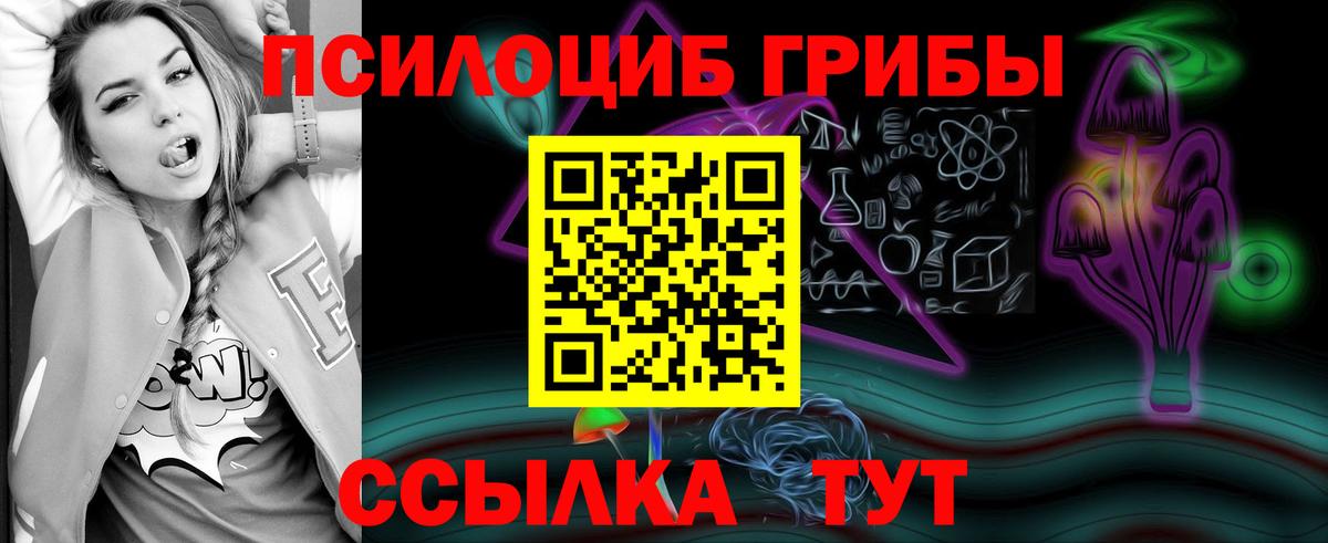 Кингисепп  Псилоцибиновые грибы Magic Shrooms  Вход с VPN 