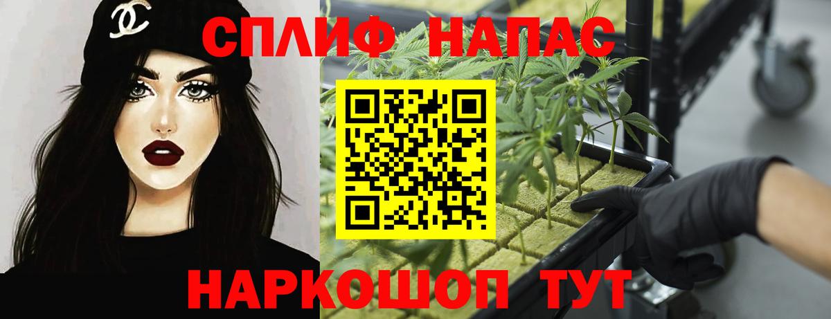 Кингисепп  Каннабис сатива  Бошки марихуана AK-47  Вход с VPN  Шишки марихуана OG Kush  Марихуана White Widow 